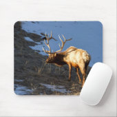 Bull Elk Mousepad (Mit Mouse)