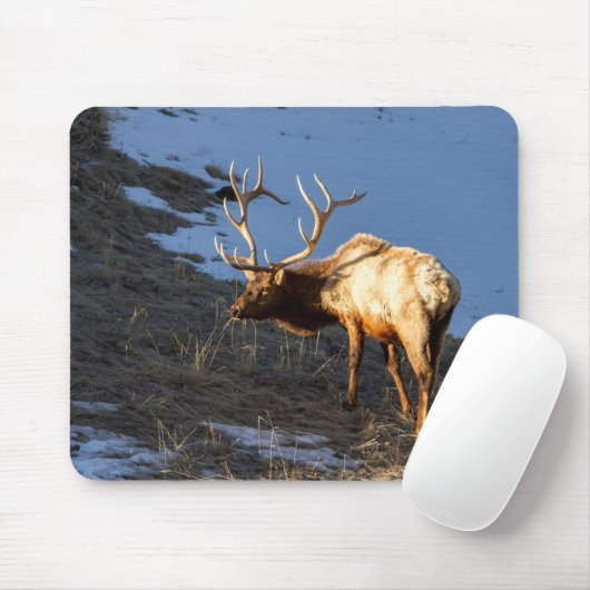 Bull Elk Mousepad (Mit Mouse)