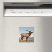 Bull Elk Near Mammoth | Wyoming Magnet (In Situ (Geschirrspüler))