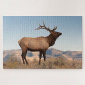 Bull Elk Near Mammoth | Wyoming Puzzle (Horizontal)