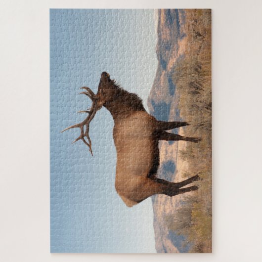 Bull Elk Near Mammoth | Wyoming Puzzle (Vertikal)
