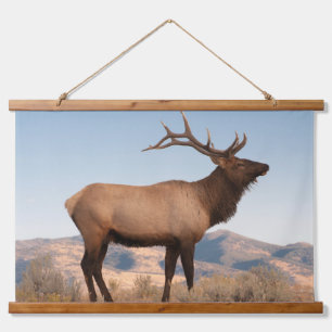 Bull Elk Near Mammoth   Wyoming Wandteppich Mit Holzrahmen