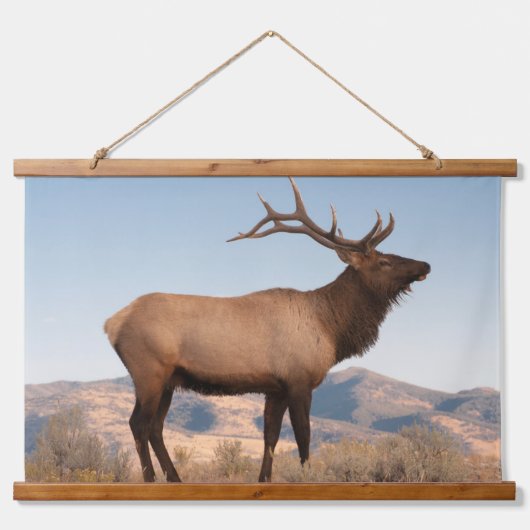 Bull Elk Near Mammoth | Wyoming Wandteppich Mit Holzrahmen (Vorne)
