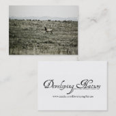 Bull Elk P2800 Mini Print Visitenkarte (Vorne/Hinten)