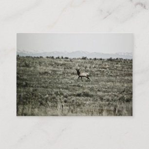 Bull Elk P2800 Mini Print Visitenkarte