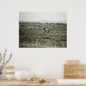 Bull Elk P2800 Print Poster (Küche)