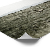 Bull Elk P2800 Print Poster (Ecke)
