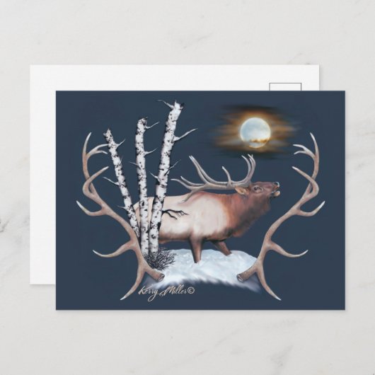 Bull Elk Postcard Postkarte (Vorne/Hinten)