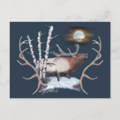 Bull Elk Postcard Postkarte (Vorderseite)