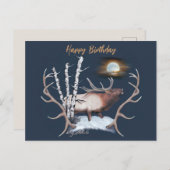 Bull Elk Postcard Postkarte (Vorne/Hinten)