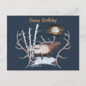 Bull Elk Postcard Postkarte (Vorderseite)