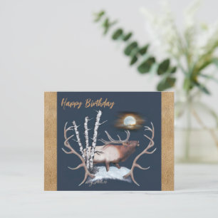 Bull Elk Postcard Postkarte