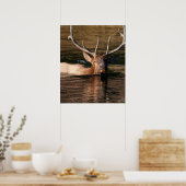 Bull Elk Poster (Küche)