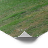 Bull Elk Poster (Ecke)