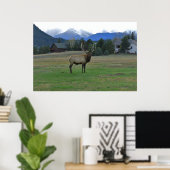 Bull Elk Poster (Heimbüro)