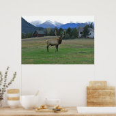 Bull Elk Poster (Küche)