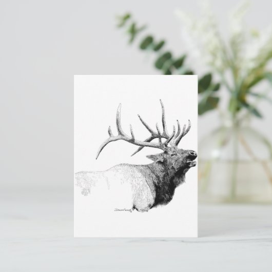 Bull Elk Postkarte (Stehend Vorderseite)