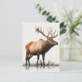 Bull Elk Postkarte (Stehend Vorderseite)