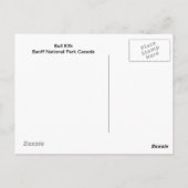 Bull Elk Postkarte (Rückseite)