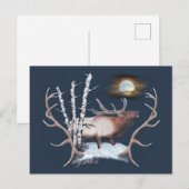 Bull Elk Postkarte (Vorne/Hinten)
