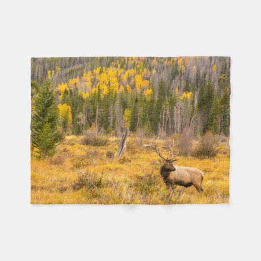 Bull Elk | Rocky Mountain Nationalpark Colorado Fleecedecke (Vorderseite (Horizontal))