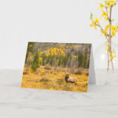 Bull Elk | Rocky Mountain Nationalpark Colorado Karte (Gelbe Blume)