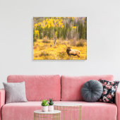 Bull Elk | Rocky Mountain Nationalpark Colorado Leinwanddruck (Insitu (Wohnzimmer))