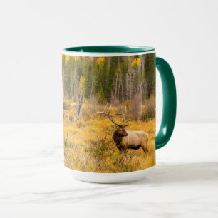 Bull Elk   Rocky Mountain Nationalpark Colorado Tasse