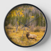 Bull Elk | Rocky Mountain Nationalpark Colorado Uhr (Vorderseite)