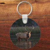 Bull Elk Schlüsselanhänger (Vorderseite)