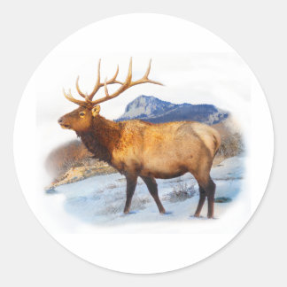Bull elk t idea.pdf runder aufkleber