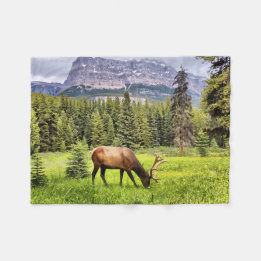 Bull Elk und Burgberg in Banff Fleecedecke