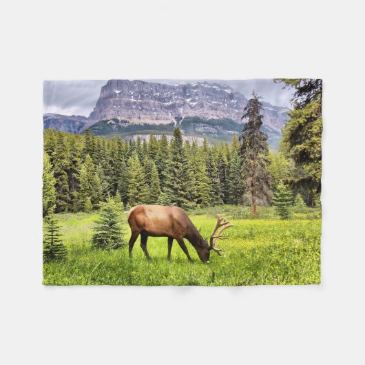 Bull Elk und Burgberg in Banff Fleecedecke (Vorderseite (Horizontal))