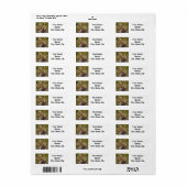 Bull Elk während der Rücksendeadresse (Vorne)