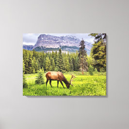 Bull Elk Wrapped Canvas Leinwanddruck