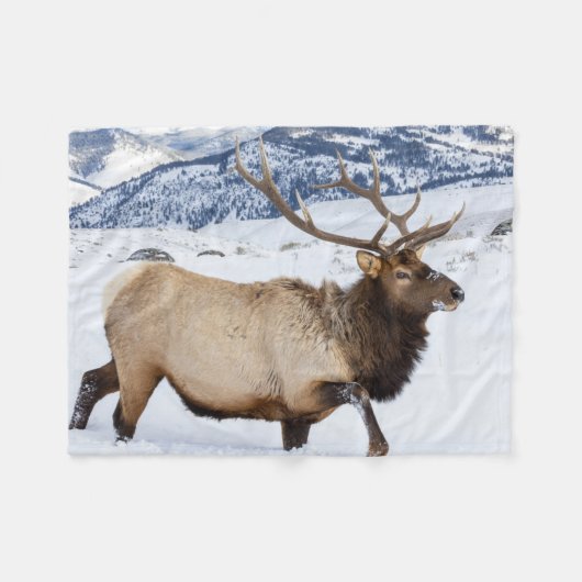 Bull Elk | Wyoming Fleecedecke (Vorderseite (Horizontal))