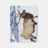 Bull Elk | Wyoming Fleecedecke (Vorderseite)