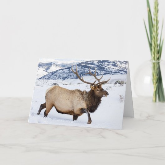 Bull Elk | Wyoming Karte (Vorderseite)