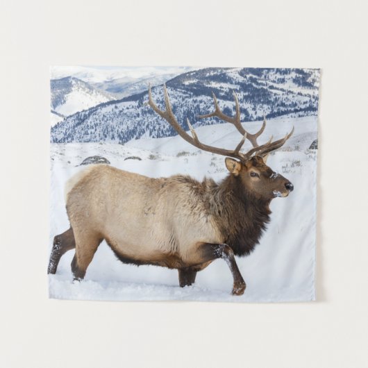 Bull Elk | Wyoming Wandteppich (Vorderseite (Horizontal))