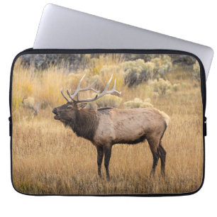 Bull Elk Yellowstone-Nationalpark Laptopschutzhülle