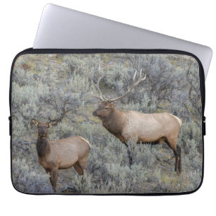 Bull Elk Yellowstone-Nationalpark, Wyoming Laptopschutzhülle