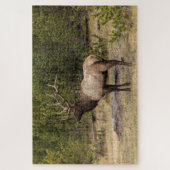 Bull Elk Yellowstone Nationalpark, Wyoming Puzzle (Vertikal)
