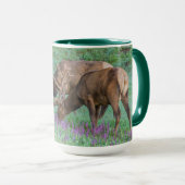 Bull Elks Rocky Mountain National Park, Colorado Tasse (VorderseiteRechts)