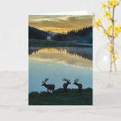 Bull Elks Silhouette Poudre Lake Sunrise Karte (Gelbe Blume)