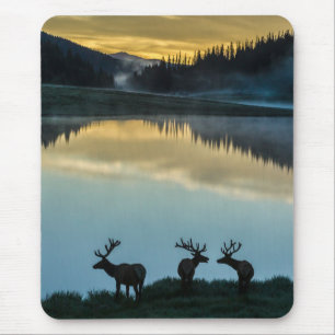 Bull Elks Silhouette Poudre Lake Sunrise Mousepad