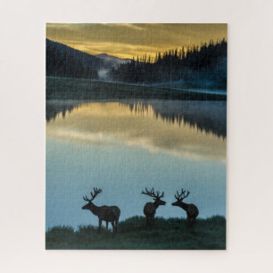 Bull Elks Silhouette Poudre Lake Sunrise Puzzle