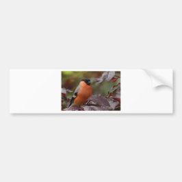 Bull Finch Autoaufkleber
