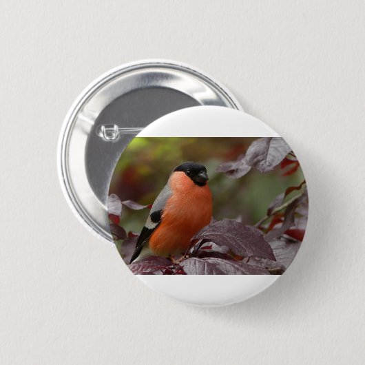 Bull Finch Button (Vorne & Hinten)