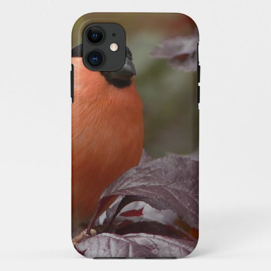 Bull Finch Case-Mate iPhone Hülle (Rückseite)