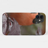 Bull Finch Case-Mate iPhone Hülle (Rückseite (Horizontal))